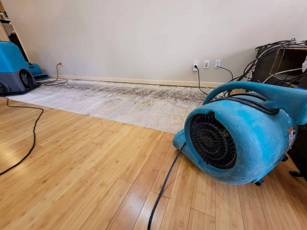Professional Structural Drying technician working in Orleans, MA